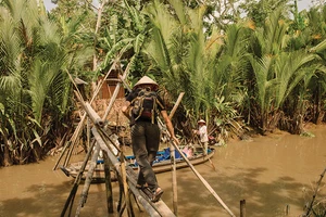 Đường xuân vạn lý phương Nam