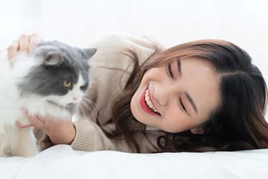 Mèo là ‘vệ sĩ’ của người