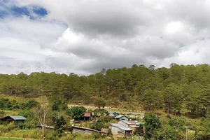 Trầm mặc nơi thâm sơn cùng cốc