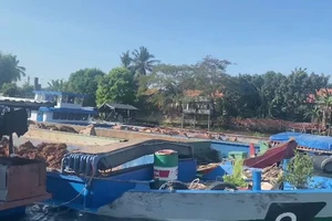 An Giang: Phát hiện nhiều phương tiện vận chuyển đất không hóa đơn, chứng từ