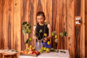 Video: Đến xứ D’ran ‘bắt trend’ cắm cành quả hồng