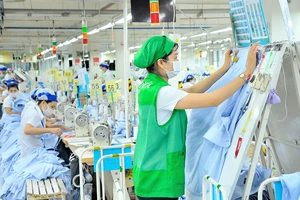 Kinh tế xanh: Điều phối tiền và chính sách