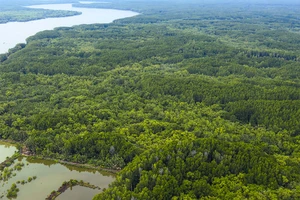 Độc đáo đô thị sinh thái Cần Giờ