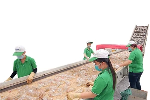 Chuyển đổi xanh từ vòng đời chai nước