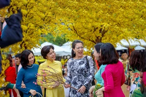 Ngẫu hứng Sài Gòn