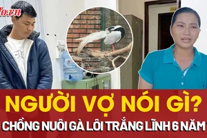 Nông dân nuôi gà lôi trắng lĩnh 6 năm tù: Người vợ nói gì?