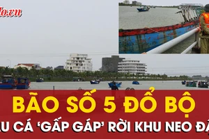 Nhiều tàu cá ở Quảng Trị rời khu neo đậu khi bão số 5 đổ bộ