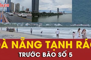 Đà Nẵng tạnh ráo trước bão số 5, công nhân hối hả cắt tỉa cây xanh