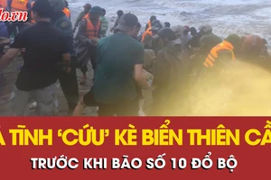Hà Tĩnh nỗ lực cứu kè biển Thiên Cầm trước khi bão số 10 đổ bộ 