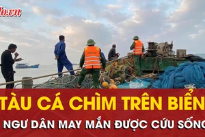 Tàu cá TP.HCM chìm trên biển Quảng Trị, 4 ngư dân may mắn được cứu sống