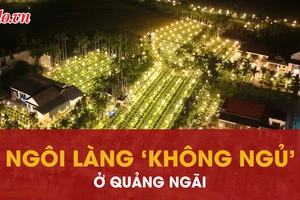 Ngôi làng 'không ngủ' bởi hàng triệu ánh đèn thắp sáng cho hoa nở đúng Tết