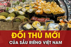 Sầu riêng Việt Nam có đối thủ mới