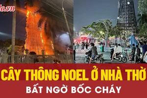 Cây thông Noel trong khuôn viên nhà thờ ở Đồng Nai bốc cháy dữ dội