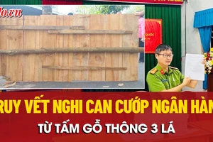 Truy tìm nguồn gốc tấm gỗ thông 3 lá liên quan vụ cướp ngân hàng ở Gia Lai