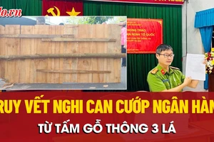 Truy tìm nguồn gốc tấm gỗ thông 3 lá liên quan vụ cướp ngân hàng ở Gia Lai