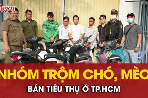 Bắt quả tang nhóm trộm chó, mèo đem bán tiêu thụ ở TP.HCM