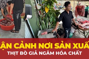 Công an TP.HCM khởi tố hai đối tượng ‘phù phép’ heo nái thành thịt bò