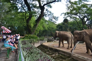 Bảo tồn sự phong phú các loài