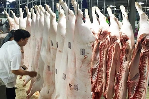 Tết này đỡ lo thịt bò bơm nước, heo có chất cấm