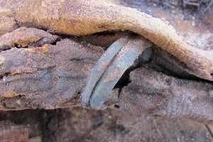 Kỳ bí nghĩa trang hơn một triệu xác ướp tại Ai Cập