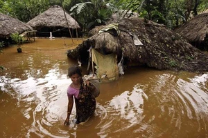 48 người chết trong lũ lụt miền đông Ấn Độ