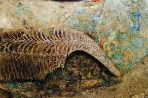 Phát hiện ngôi mộ chiến binh 3.500 tuổi chôn cất cùng kho báu