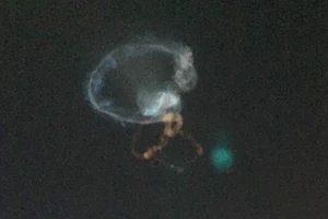 Trung Quốc bí mật bắn thử tên lửa có khả năng diệt vệ tinh Mỹ