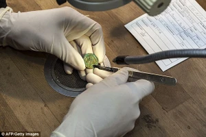 Khai quật kho báu hơn 4.000 đồng tiền cổ tại Thụy Sĩ