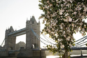Vì sao cây xanh ở London trị giá đến 204.000 tỉ đồng?