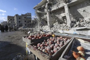 'Nga không kích dân Syria nhiều hơn IS'