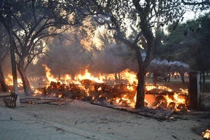 Ấn Độ phát hiện giáo phái có chính phủ, quân đội riêng