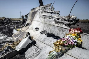 Công bố hình ảnh mảnh vỡ tên lửa Nga tại điểm rơi của MH17