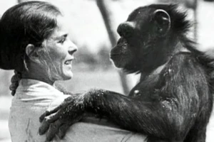 Xúc động khi tinh tinh 25 năm vẫn nhớ ơn ân nhân cứu mạng