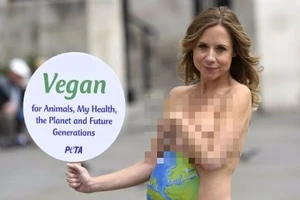 Chụp ảnh khỏa thân, nữ MC đài BBC bị sa thải