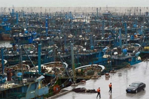 Bão đổ bộ Trung Quốc với sức gió 120 km/giờ