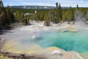 Thiệt mạng vì muốn kiểm tra nhiệt độ suối nước nóng 