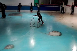 Công viên Nhật chôn sống 5.000 con cá dưới sân băng