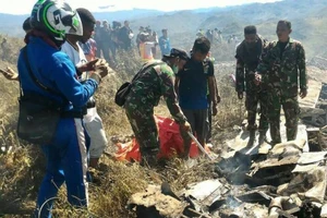 Máy bay Không quân Indonesia rơi, 13 người chết