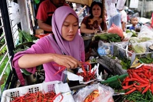 Nông dân Trung Quốc dùng hạt ớt độc hại gây lo ngại