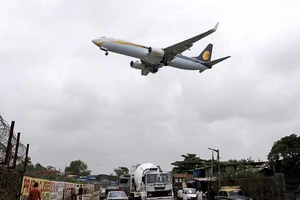 Sinh ra giữa trời, được bay miễn phí suốt đời