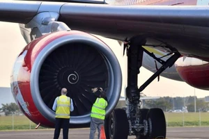 Đụng chim trời, máy bay chở 359 người hạ cánh khẩn