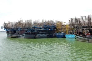 Tàu câu mực 44 ngư dân bị nạn ở vùng biển Trường Sa 