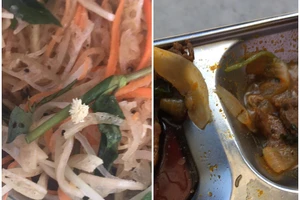 Vụ thức ăn có 'sinh vật lạ': Tổng giám đốc công ty lên tiếng