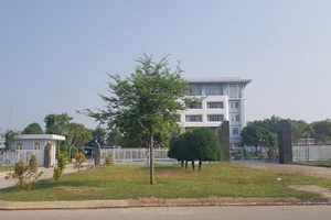 Kế toán trưởng xin nghỉ việc gần ngày ký kết luận thanh tra 