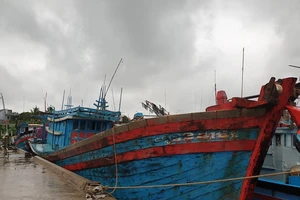 Bão số 6: Quảng Ngãi nhờ giúp 3 tàu chưa liên lạc được