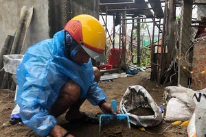 Bão cũ chưa khắc phục xong, dân oằn mình chống bão mới