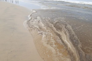 Vụ nước biển chuyển màu ở Quảng Ngãi: 1 mẫu pH vượt quy chuẩn