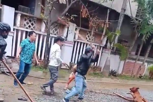 Chó Pit Bull xông ra đường cắn nát cánh tay 1 phụ nữ