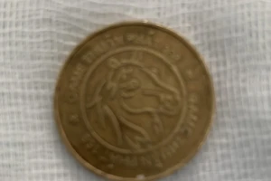 Chơi game, bé trai nuốt đồng xu vào thực quản