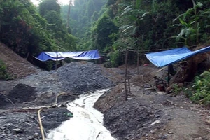 Bắt nhóm người bắt giữ phu vàng trái phép